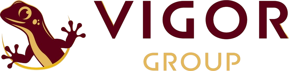 Vigor Group S.A.S.
